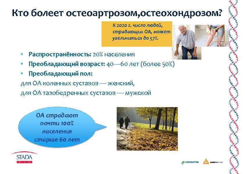 Кто болеет остеоартрозом, остеохондрозом? К 2020 г. число людей, страдающих ОА, может увеличиться до