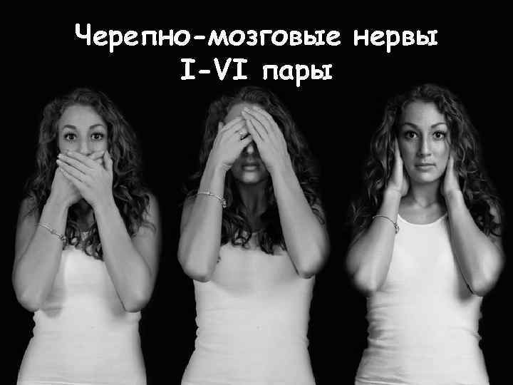 Черепно-мозговые нервы I-VI пары 