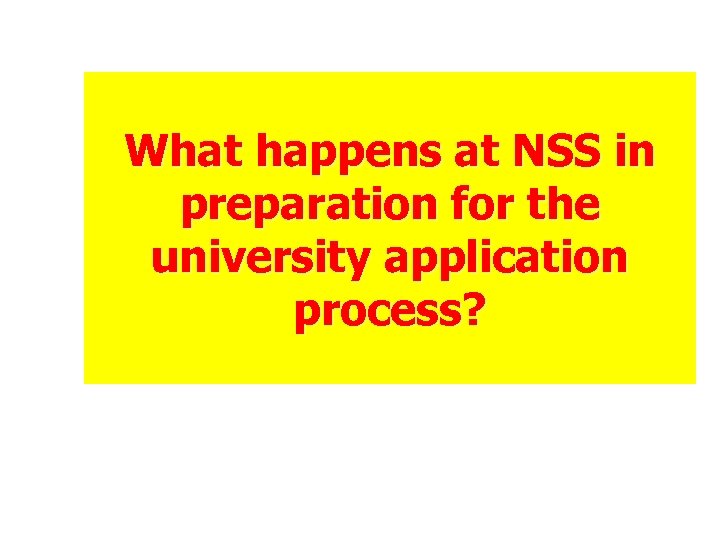 What happens at NSS in preparation for the university application process? 