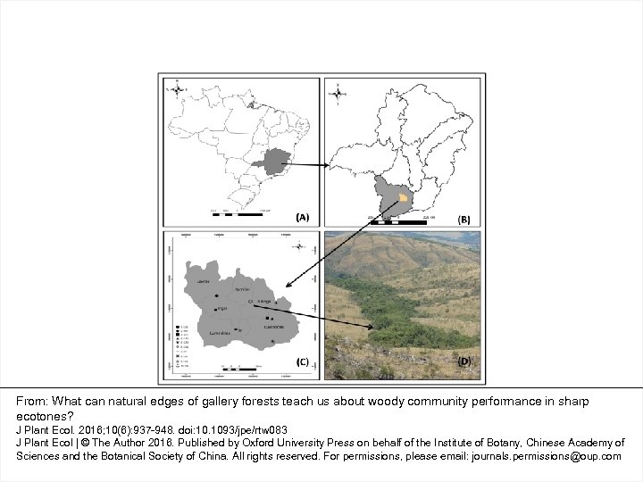 From: What can natural edges of gallery forests teach us about woody community performance