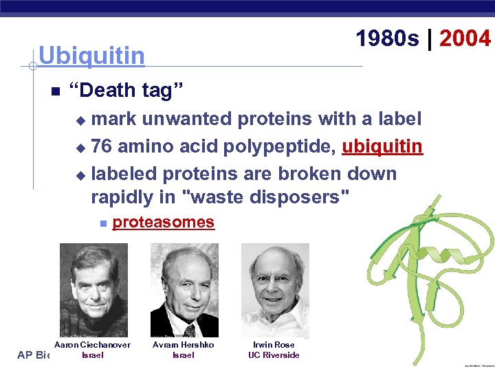 1980 s | 2004 Ubiquitin “Death tag” mark unwanted proteins with a label u