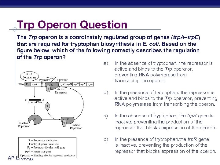Trp Operon Question The Trp operon is a coordinately regulated group of genes (trp.
