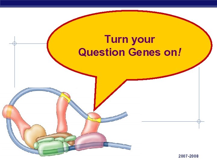 Turn your Question Genes on! AP Biology 2007 -2008 