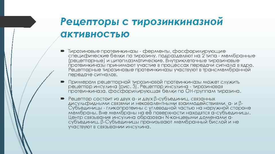 Рецепторы с тирозинкиназной активностью Тирозиновые протеинкиназы - ферменты, фосфорилирующие специфические белки по тирозину, подразделяют