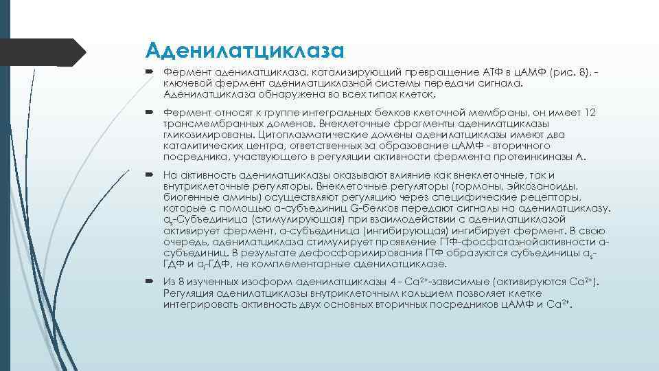 Аденилатциклаза Фермент аденилатциклаза, катализирующий превращение АТФ в ц. АМФ (рис. 8), ключевой фермент аденилатциклазной