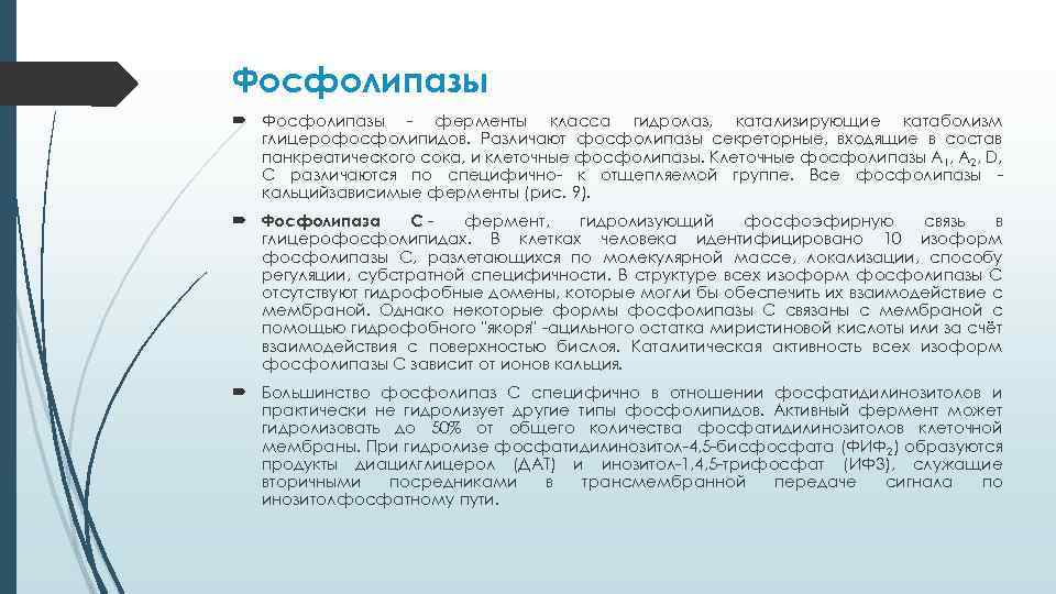 Фосфолипазы - ферменты класса гидролаз, катализирующие катаболизм глицерофосфолипидов. Различают фосфолипазы секреторные, входящие в состав