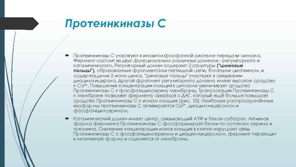 Протеинкиназы С участвуют в инозитолфосфатной системе передачи сигнала. Фермент состоит из двух функционально различных