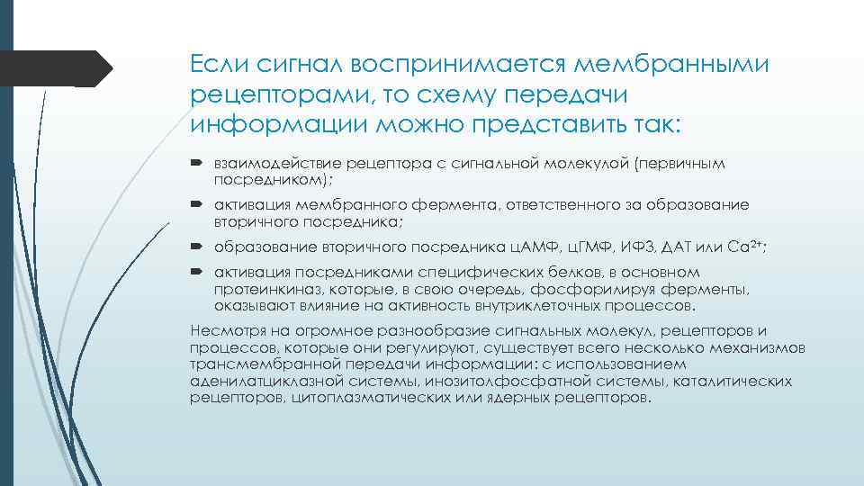 Если сигнал воспринимается мембранными рецепторами, то схему передачи информации можно представить так: взаимодействие рецептора