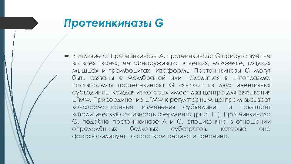 Протеинкиназы G В отличие от Протеинкиназы А, протеинкиназа G присутствует не во всех тканях,