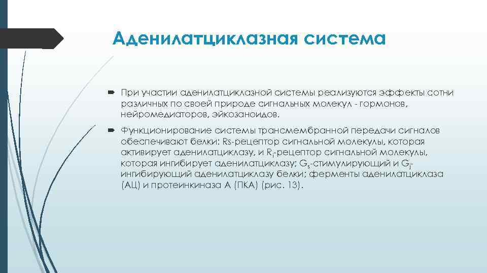  Аденилатциклазная система При участии аденилатциклазной системы реализуются эффекты сотни различных по своей природе