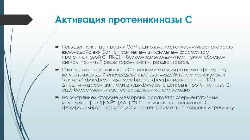 Активация протеинкиназы С Повышение концентрации Са 2+ в цитозоле клетки увеличивает скорость взаимодействия Са