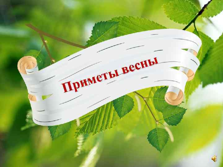 сны ве еты им Пр 
