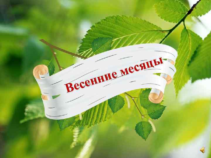яцы мес ние сен Ве 