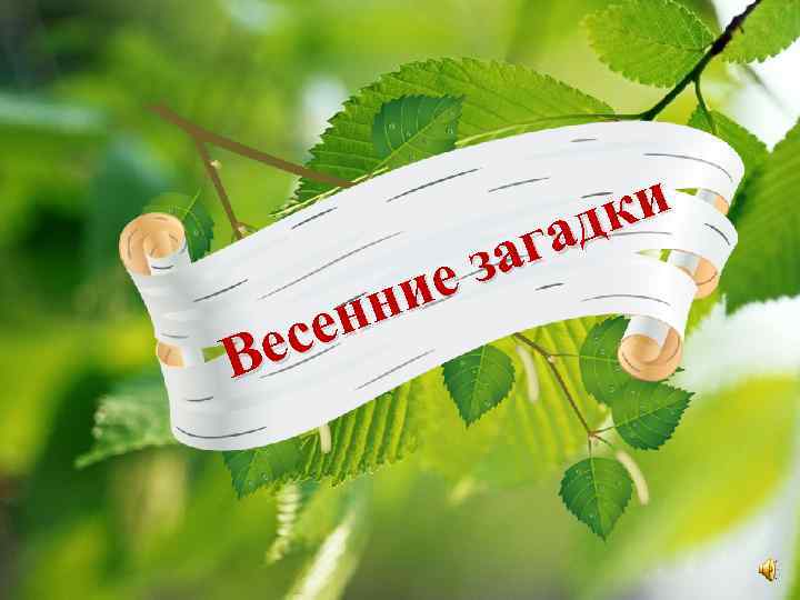 ие нн се Ве ки ад аг з 