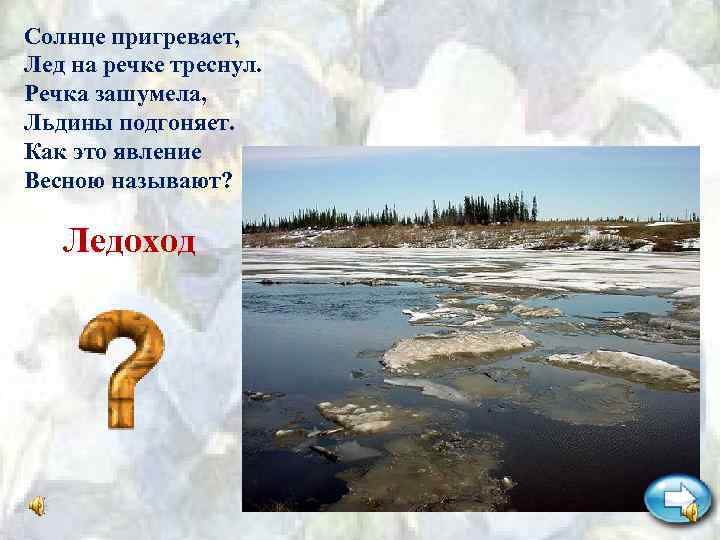 Солнце пригревает, Лед на речке треснул. Речка зашумела, Льдины подгоняет. Как это явление Весною