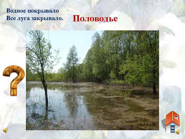 Водное покрывало Все луга закрывало. Половодье 