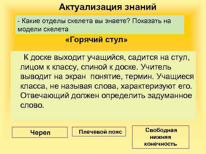 Актуализация знаний - Какие отделы скелета вы знаете? Показать на модели скелета «Горячий стул»