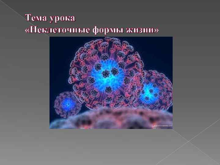 Тема урока «Неклеточные формы жизни» 
