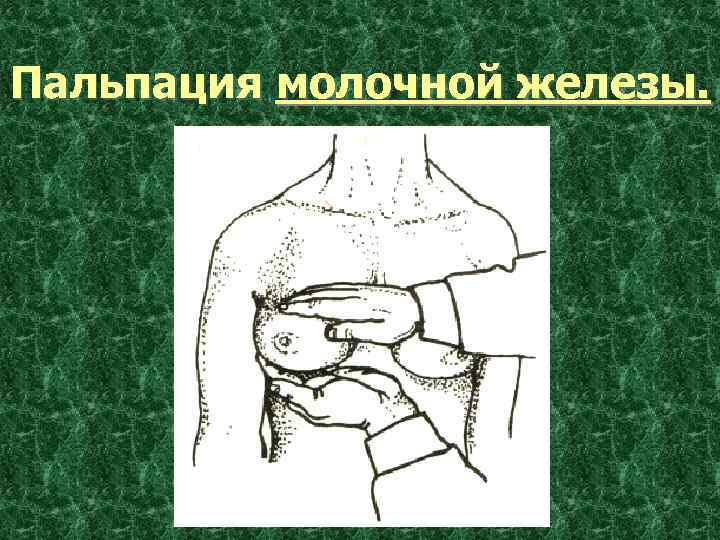 Пальпация молочной железы презентация