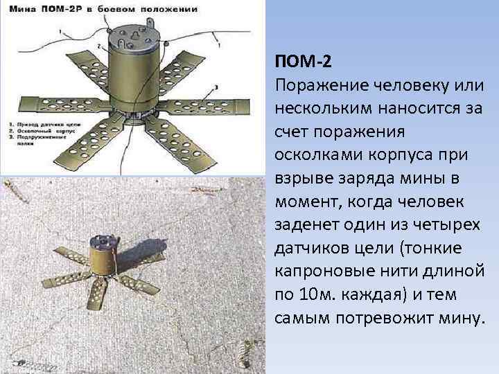 ПОМ-2 Поражение человеку или нескольким наносится за счет поражения осколками корпуса при взрыве заряда