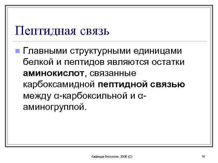 Пептидная связь n Главными структурными единицами белкой и пептидов являются остатки аминокислот, связанные карбоксамидной