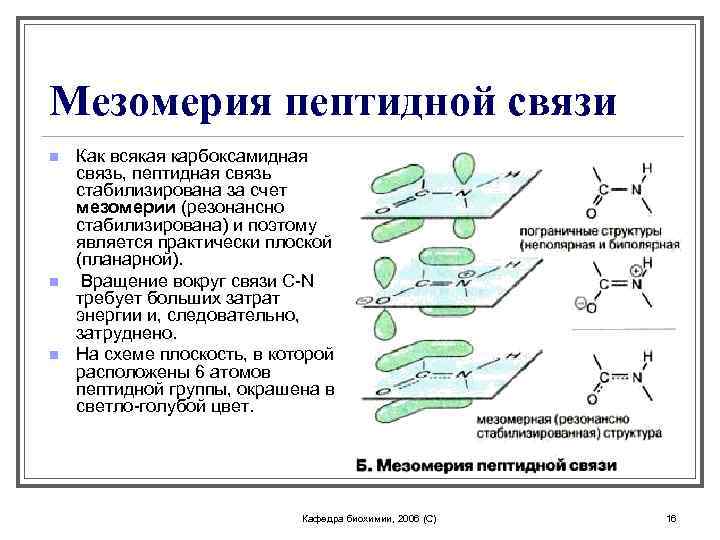Мезомерия пептидной связи n n n Как всякая карбоксамидная связь, пептидная связь стабилизирована за