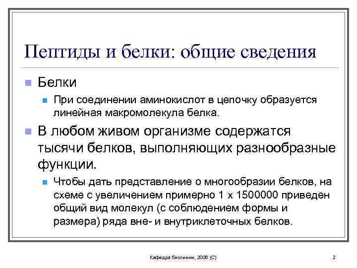 Пептиды и белки: общие сведения n Белки n n При соединении аминокислот в цепочку
