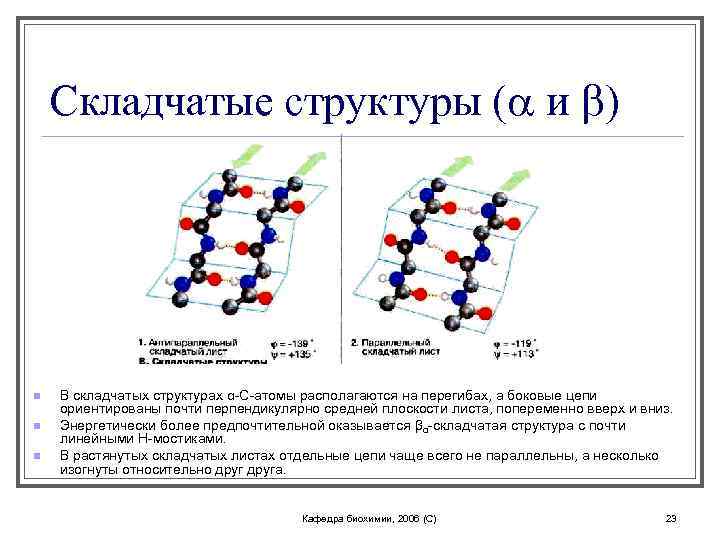 Складчатые структуры (a и b) n n n В складчатых структурах α-С-атомы располагаются на