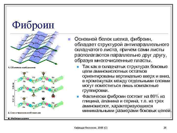 Фиброин n Ocновной белок шелка, фиброин, обладает структурой антипараллельного складчатого листа, причем сами листы