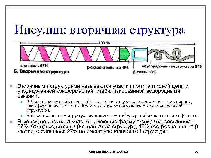 Какие связи стабилизируют вторичную структуру белков