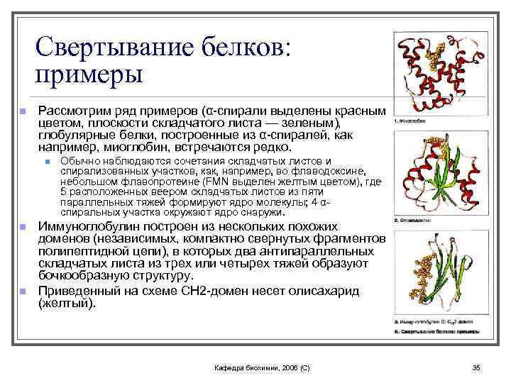Свертывание белков: примеры n Рассмотрим ряд примеров (α-спирали выделены красным цветом, плоскости складчатого листа