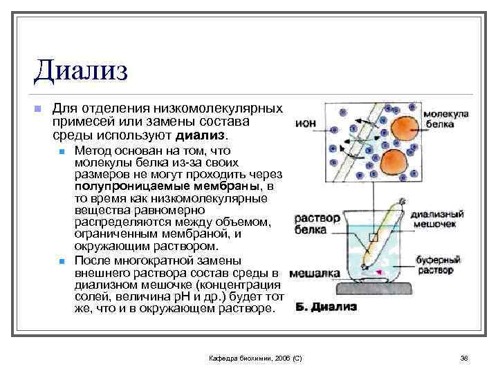 Диализ n Для отделения низкомолекулярных примесей или замены состава среды используют диализ. n n
