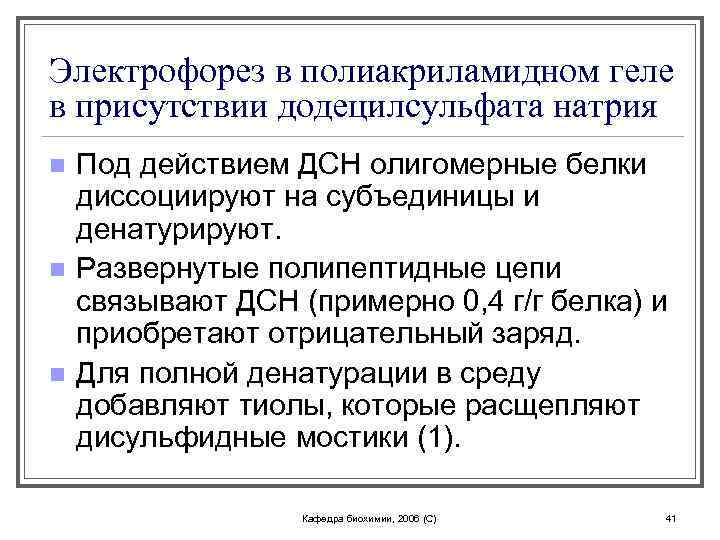 Электрофорез в полиакриламидном геле в присутствии додецилсульфата натрия n n n Под действием ДСН