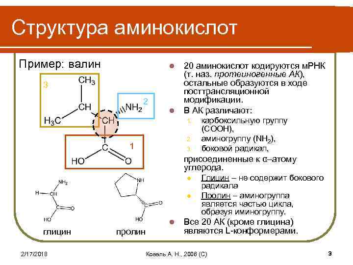 Аминокислоты их состав и химические свойства