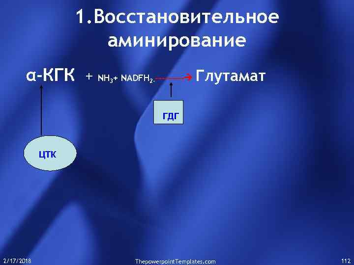1. Восстановительное аминирование α-КГК + NH + NADFH 3 2 ----- Глутамат ГДГ ЦТК