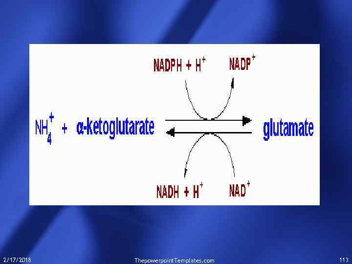  2/17/2018 Thepowerpoint. Templates. com 113 