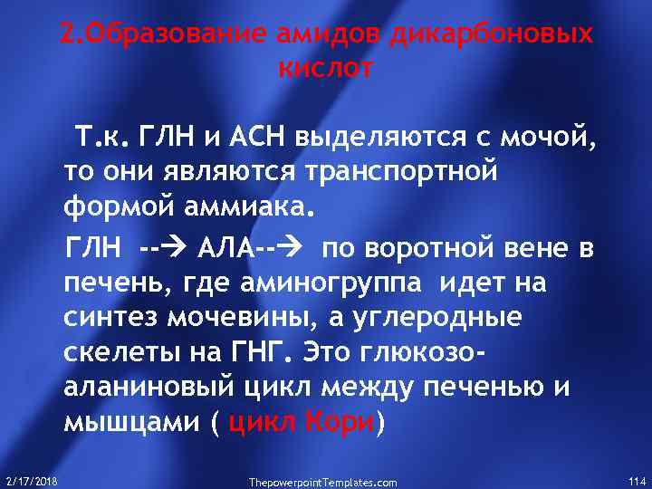 2. Образование амидов дикарбоновых кислот Т. к. ГЛН и АСН выделяются с мочой, то