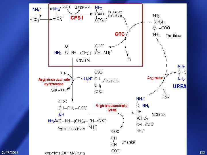 2/17/2018 Thepowerpoint. Templates. com 122 