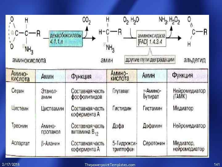 2/17/2018 Thepowerpoint. Templates. com 141 