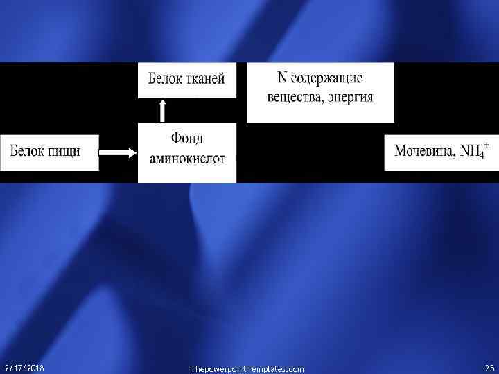 2/17/2018 Thepowerpoint. Templates. com 25 