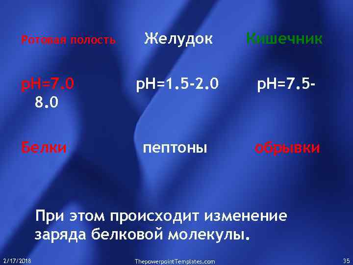 Желудок Кишечник р. Н=7. 0 8. 0 р. Н=1. 5 -2. 0 р. Н=7.