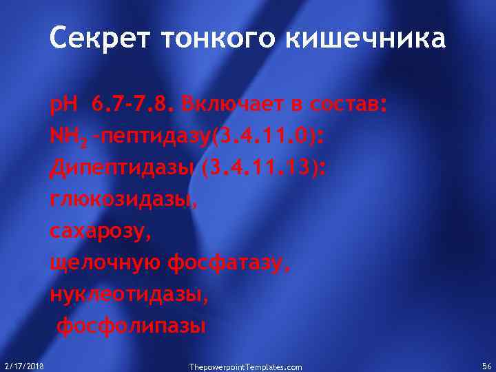 Секрет тонкого кишечника р. Н 6. 7 -7. 8. Включает в состав: NH 2