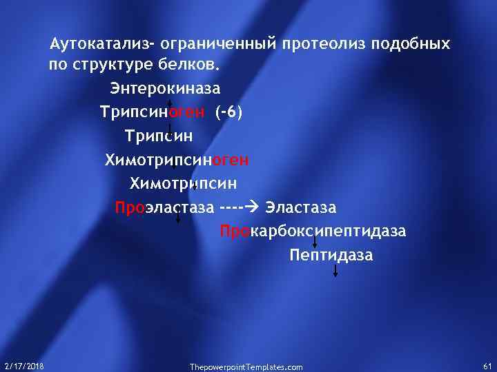 Аутокатализ- ограниченный протеолиз подобных по структуре белков. Энтерокиназа Трипсиноген (-6) Трипсин Химотрипсиноген Химотрипсин Проэластаза