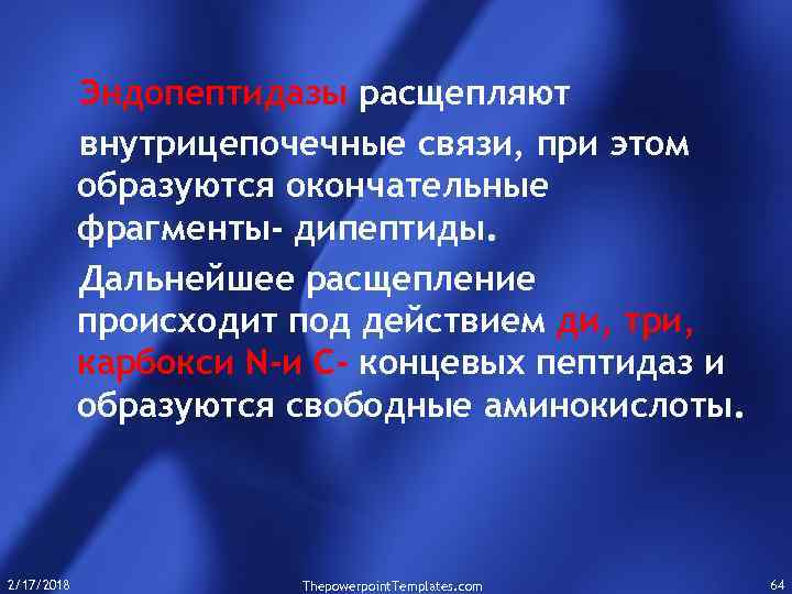 Эндопептидазы расщепляют внутрицепочечные связи, при этом образуются окончательные фрагменты- дипептиды. Дальнейшее расщепление происходит под