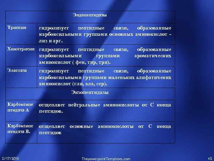 Эндопептидазы Трипсин гидролизует пептидные связи, образованные карбоксильными группами основных аминокислот лиз и арг. Химотрисин