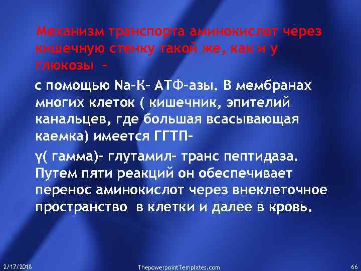 Механизм транспорта аминокислот через кишечную стенку такой же, как и у глюкозы с помощью