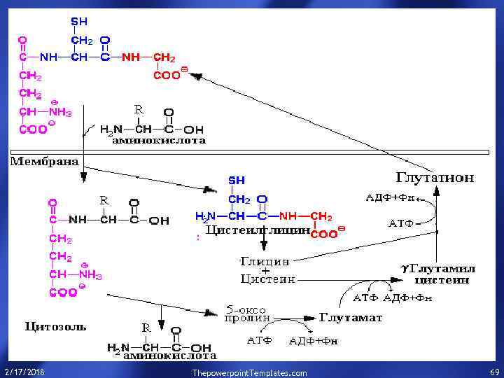 2/17/2018 Thepowerpoint. Templates. com 69 