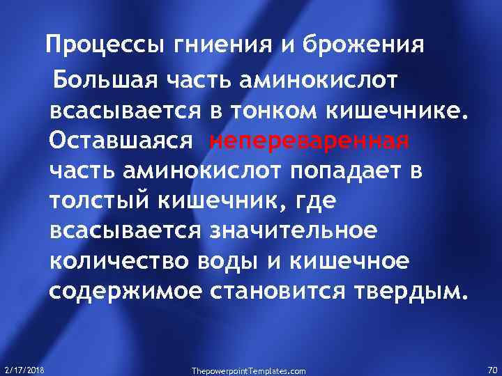 Процессы гниения и брожения Большая часть аминокислот всасывается в тонком кишечнике. Оставшаяся непереваренная часть