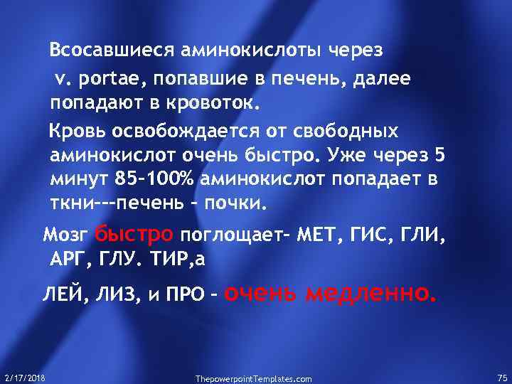 Всосавшиеся аминокислоты через v. portae, попавшие в печень, далее попадают в кровоток. Кровь освобождается