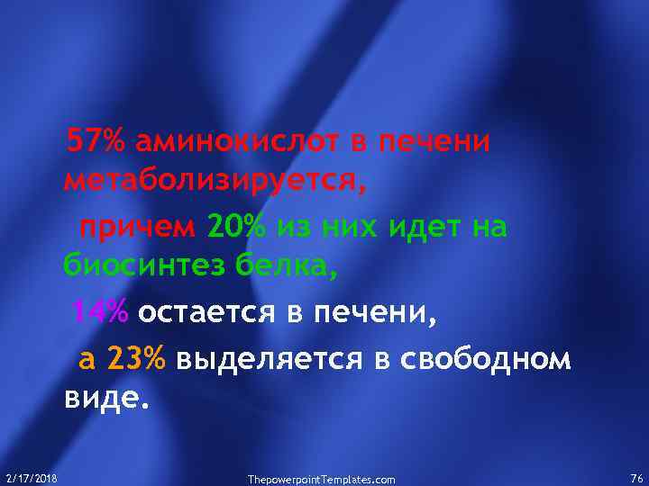 57% аминокислот в печени метаболизируется, причем 20% из них идет на биосинтез белка, 14%
